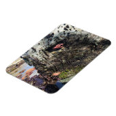 Magnet Flexible Parc Rock State de Sisters (Côté Gauche)