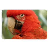 MAGNET FLEXIBLE PARCOURS (Horizontal)