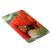 MAGNET FLEXIBLE PARCOURS (Côté Droit)