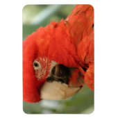 MAGNET FLEXIBLE PARCOURS (Vertical)