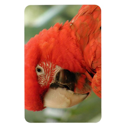 MAGNET FLEXIBLE PARCOURS (Vertical)