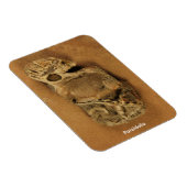 Magnet Flexible Pareidolia (Côté Droit)