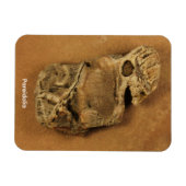 Magnet Flexible Pareidolia (Horizontal)