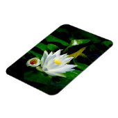 Magnet Flexible Parfait White Water Lily and Bud (Côté Gauche)