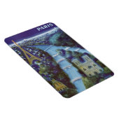Magnet Flexible Paris vintage, France - (Côté Droit)
