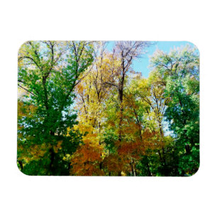 Magnet Flexible Park in the provincial  ukrainian city postcard ma