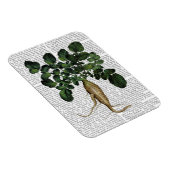 Magnet Flexible Parsnip 1 (Côté Droit)