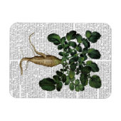 Magnet Flexible Parsnip 1 (Horizontal)
