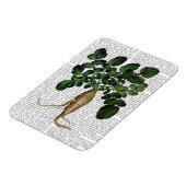 Magnet Flexible Parsnip 1 (Côté Gauche)