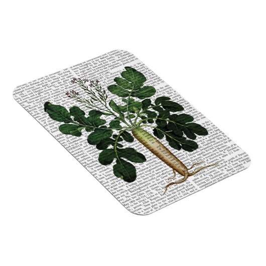 Magnet Flexible Parsnip 3 (Côté Droit)