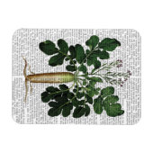 Magnet Flexible Parsnip 3 (Horizontal)