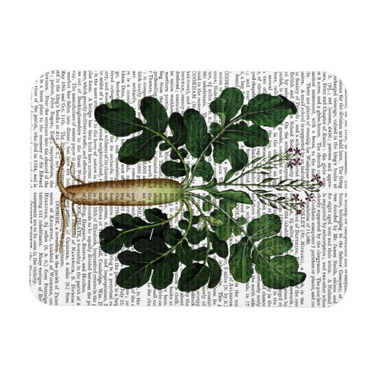 Magnet Flexible Parsnip 3 (Horizontal)