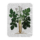 Magnet Flexible Parsnip 3 (Vertical)