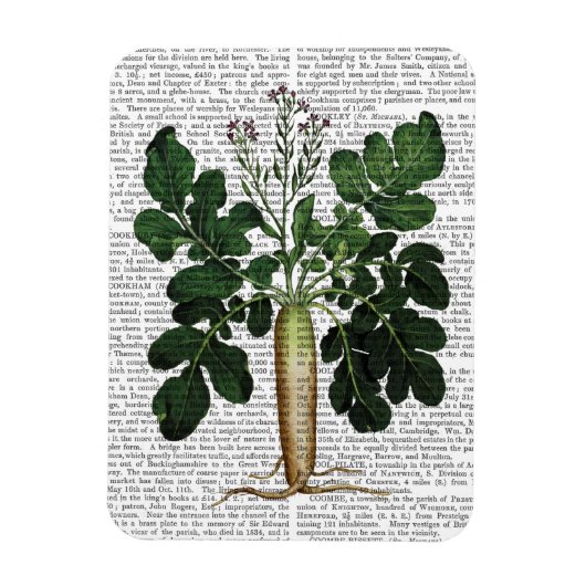 Magnet Flexible Parsnip 3 (Vertical)