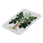 Magnet Flexible Parsnip 3 (Côté Gauche)