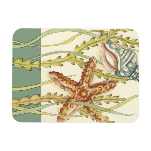 Magnet Flexible Partie Shell multicolore (Horizontal)