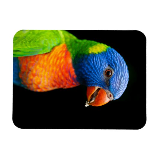 Magnet Flexible Partir (Horizontal)