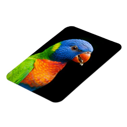 Magnet Flexible Partir (Côté Gauche)