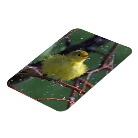 Magnet Flexible Paruline (Côté Gauche)