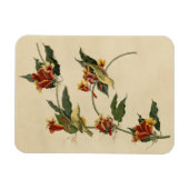 Magnet Flexible Paruline à rathbone (jaune) Audubon Birds of Ameri (Horizontal)