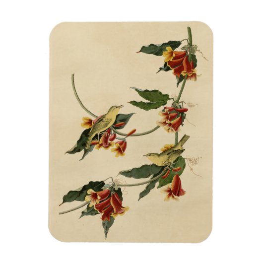 Magnet Flexible Paruline à rathbone (jaune) Audubon Birds of Ameri (Vertical)