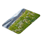 Magnet Flexible Pasqueflower occidental | Monts East Kootenay (Côté Gauche)