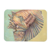 Magnet Flexible Pastel Large Conch Shell (Horizontal)