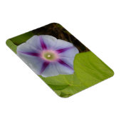 Magnet Flexible Pastel Morning Glory (Côté Droit)