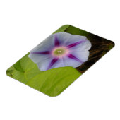 Magnet Flexible Pastel Morning Glory (Côté Gauche)
