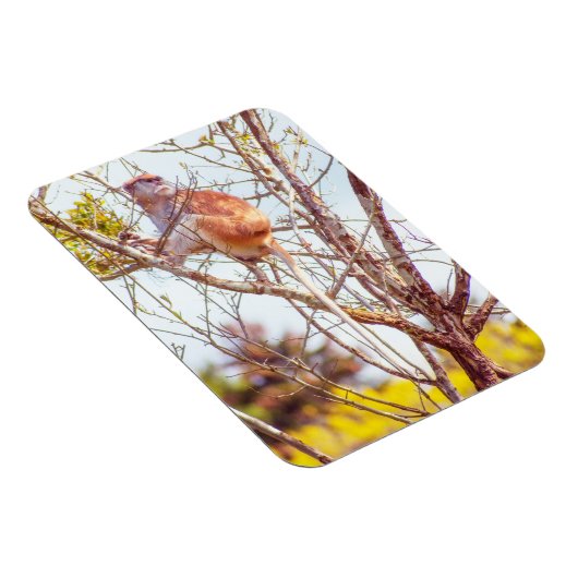 Magnet Flexible Patas est perché dans un arbre (Côté Droit)