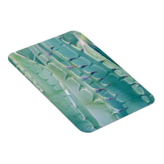 Magnet Flexible Patterns de Agave (Côté Droit)