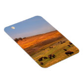 Magnet Flexible Pâturage de bisons sur la colline à Hayden Valley (Côté Droit)