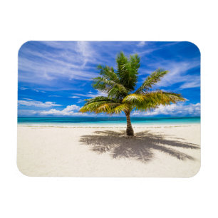 Magnet Flexible Paume sur la plage blanche de sable