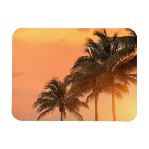 Magnet Flexible Paumes de Miami