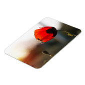Magnet Flexible Pavot à ressort avec araignée (Côté Gauche)