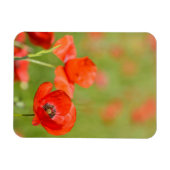 Magnet Flexible Pavot dans un champ de pavot aimant vertical (Horizontal)