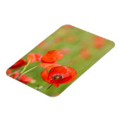 Magnet Flexible Pavot dans un champ de pavot aimant vertical (Côté Gauche)