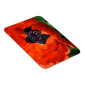 Magnet Flexible Pavot oriental (Côté Droit)