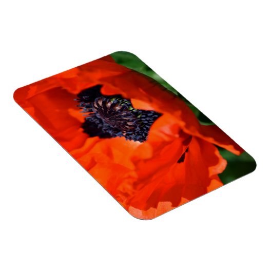 Magnet Flexible Pavot oriental (Côté Droit)