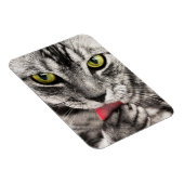 Magnet Flexible Paw de cueillette de chat Tabby (Côté Droit)