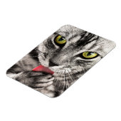 Magnet Flexible Paw de cueillette de chat Tabby (Côté Gauche)