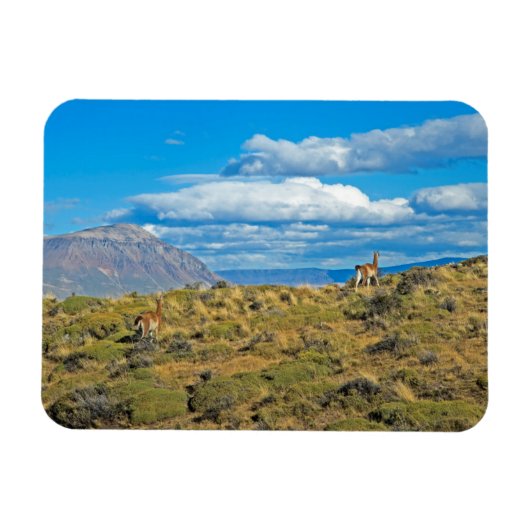Magnet Flexible Pays de Guanaco, Patagonie (Horizontal)