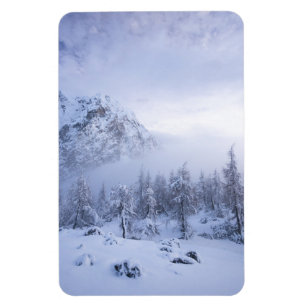 Magnet Flexible Pays merveilleux d'hiver, brouillard, forêt d'épin