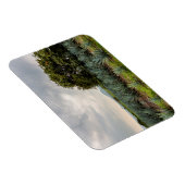 Magnet Flexible Paysage Avec Agave Bleue (Côté Droit)