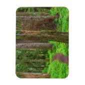 Magnet Flexible Paysage de forêt ancienne (Vertical)