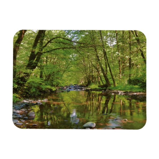 Magnet Flexible Paysage de la rivière Wilson (Horizontal)
