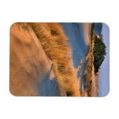 Magnet Flexible Paysage des dunes de sable de l'Oregon (Horizontal)