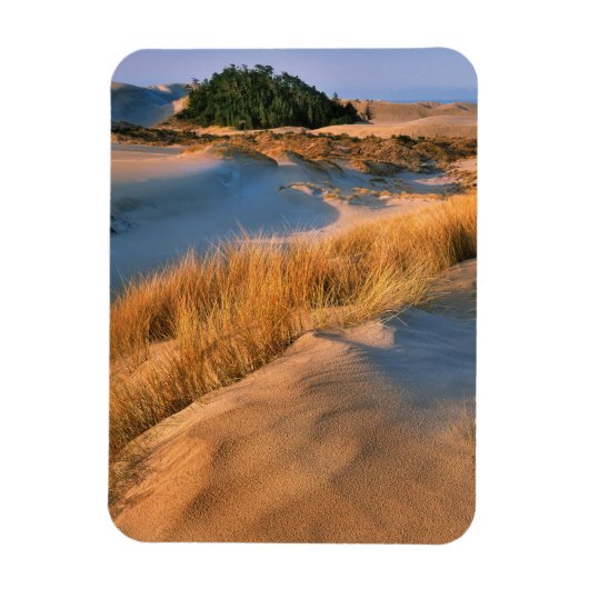 Magnet Flexible Paysage des dunes de sable de l'Oregon (Vertical)