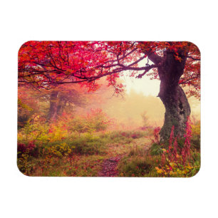 Magnet Flexible Paysage Majestueux Avec Arbres D'Automne En Forêt