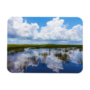 Magnet Flexible Paysage naturel des Everglades